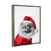 Stupell Industries Pomeranian in Santa Hat, 25'' x 31'', Gray - 3 of 4