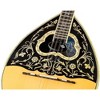 KNA Single Coil Pasive Bouzouki Soundhole Pickup - 4 of 4