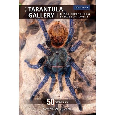 The Tarantula Gallery - by  Danny de Bruyne (Paperback)