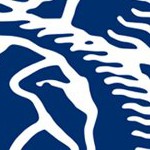 los angeles rams