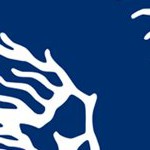 los angeles rams