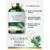 Carlyle Valerian Root 2400mg | 240 Capsules - 3 of 4