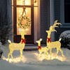 Outsunny Light Up Christmas Deer Family, Set of 3 Lighted Reindeer Christmas Decorations with 2 LED Light Modes, Stakes & Zip Ties for Outdoor, Silver - 3 of 4