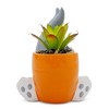 Silver Buffalo Looney Tunes Bugs Bunny 5-Inch Ceramic Mini Planter With Artificial Succulent - 3 of 4