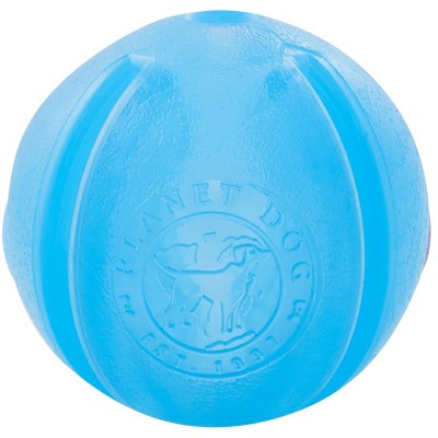 Planet Dog Orbee-Tuff Guru Interactive Puzzle Dog Toy - Blue