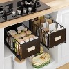 LunaLulinlk 2 Pack Pull Out Cabinet Organizer, No Drill Slide Out Pantry Shelves Drawers with Handle for Kitchen, Cupboard, Bathroom, Pantry, Sink - 2 of 4