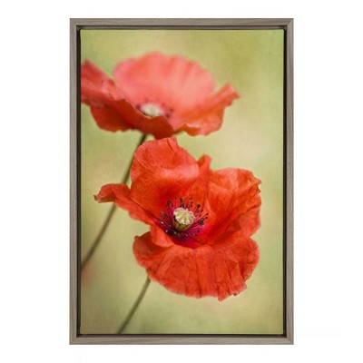 16" x 23" Papaver Passion Framed Canvas Wall Art - Amanti Art