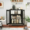 LunaLulinlk Metal Storage Cabinet with Mesh Doors, Multipurpose Storage Rack, 3-Tier Cabinet,Metal Locker Style Accent Cabinet for Kitchen - 3 of 4