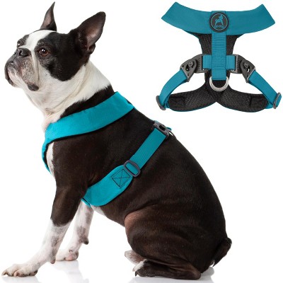 Gooby Comfort X Harness Dual Snap Turquoise, Medium