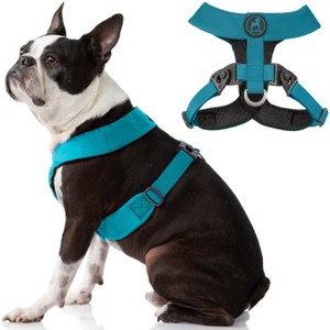 Gooby Comfort X Harness Dual Snap Turquoise, Medium - 1 of 1