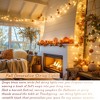 Itopfox 168FT 600 LED Christmas Lights Outdoor Waterproof 8 Modes Indoor String Lights for Outside Warm White Lights Plug in for Wedding Party - 4 of 4