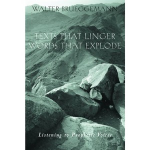 Texts That Linger Words That E - by  Walter Brueggemann (Paperback) - 1 of 1
