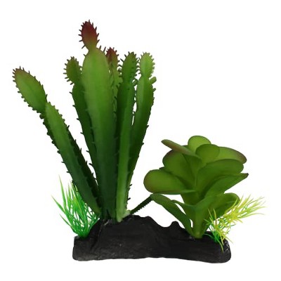 Multipet Komodo Cactus & Succulent Plant