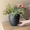 7.75" Smoke Colored Planter Black Terracotta by Foreside Home & Garden - 2 of 4