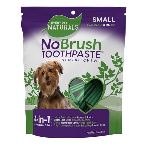 Dog cheap toothpaste target