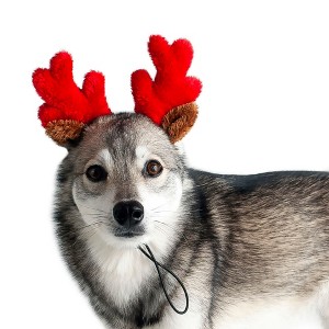 Midlee Christmas Reindeer Small Dog Antlers - 1 of 4