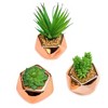 Set of 3 Small Artificial Succulent Plant Mini Fake Faux Succulents Realistic Cactus Cacti Plants in Rose Gold Geometric Pots - 3 of 4