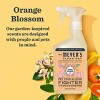 Mrs. Meyer's Clean Day Orange Blossom Scent Pet Stain and Odor Fighter - 16 fl oz - 3 of 4