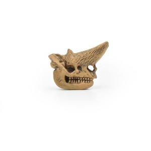 Collectible Wildlife Gifts | Arsinoitherium, Fossil Skull, Very Nice Plastic Replica  2" by 1 3/4"    F3519 B204 - 1 of 1