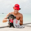 Pavilion Gift Company - Best Dog - 39" x 19.5" Microfiber Dog Towel - Kitchen Textiles - 2 of 4