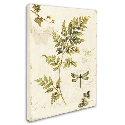 Trademark Fine Art -Lisa Audit 'Ivies and Ferns III' Canvas Art
