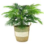 42" x 28" Artificial Palm Plant in Basket - LCG Florals