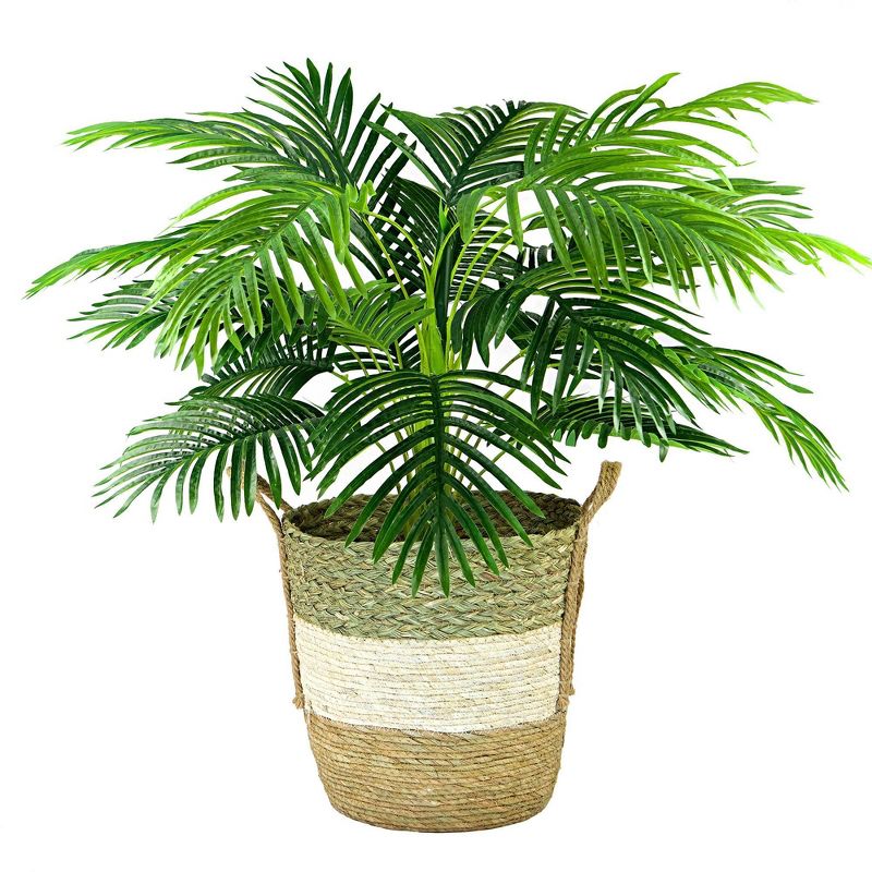 42&#34; x 28&#34; Artificial Palm Plant in Basket - LCG Florals, 1 of 11
