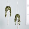 Juvale 2 Pack Hanging Artificial String of Pearls with Ceramic Pot Macrame Hanger, Faux Fake Plant for Wall Decor, 31 in - 2 of 4
