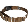 Country Brook Petz Heavy Duty Nylon Martingale Dog Collar with Deluxe Buckle - 30+ Vibrant Color Options - 4 of 4