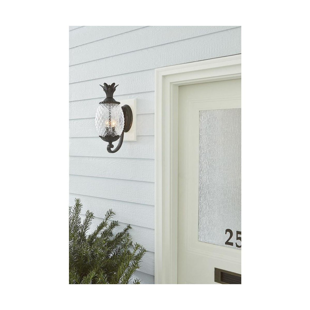 Acclaim Lighting Lanai 2 - Light Wall Light in Black Coral - thumbnail 8