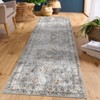 Vintage Machine Washable Rug for Living Room Non-Slip Non-Shedding Distressed Floral Printed Indoor Carpet - 3 of 4
