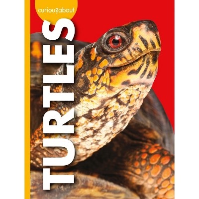 Curious about Turtles - (Curious about Pets) by  Alissa Thielges (Paperback)