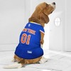 Nba Orlando Magic 18 Pets Basketball Mesh Jersey : Target