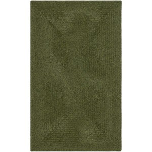 Braided BRD315 Hand Woven Area Rug  - Safavieh - 1 of 4