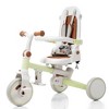Whisen 7 in 1 Baby Tricycle, Foldable Toddler Tricycle with Removable and Adjustable Parent Handle, Canopy, and Guardrail - 3 of 4