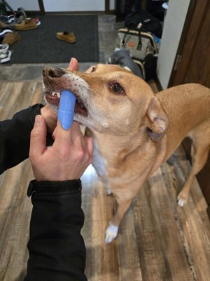 Guest review image 2 of 3, zoom in