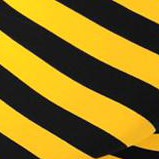 yellow black-stripe