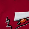 NFL Tampa Bay Buccaneers Premium Printed Wall Hanging - 3 of 4
