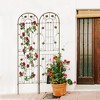 JUJABU 2 Pack Metal Garden Trellis 86.7" x 19.7"  for Climbing Plants Outdoor Flower Support - 3 of 4