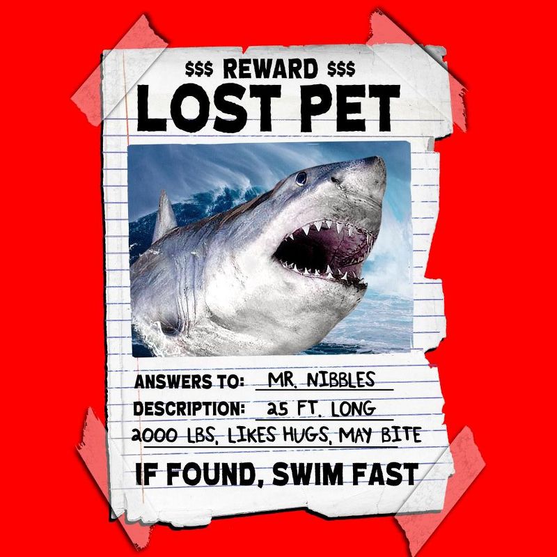 Lost Pet Shark Youth boys Red Graphic Tee, 2 of 4