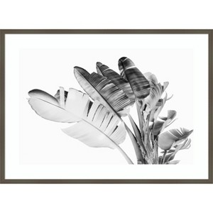 Amanti Art Tropical Velvet I - BW by Ryan Hartson Weddle Wood Framed Wall Art Print - 1 of 4