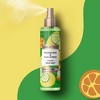 Beloved Mandarin & Cucumber Water Women's Body Mist - 8oz - 3 of 4