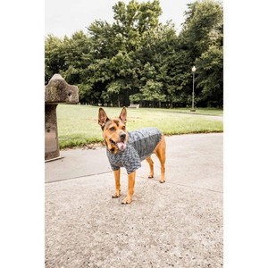 Pet Life (R) Active 'Warf Speed' Heathered Ultra-Stretch Sporty Performance Dog T-Shirt - 1 of 4