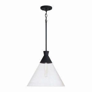 Capital Lighting Paloma 1 - Light Pendant in  Textured Black - 1 of 3