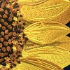 RightSide Designs 18" x 18" Vibrant Sunflower Design Navy Accent Throw Pillow - Indoor/Outdoor - 3 of 4