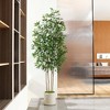 DR.Planzen Artificial Ficus Tree Adjustable Faux Tree with Real-Wood Branches & White Planter Indoor/Outdoor Perfect Home Decor for House Gift - 2 of 4