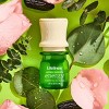 Lifelines Energy Herbal Garden Essential Oil Blend - 2 of 4