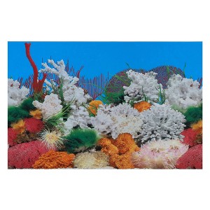 Unique Bargains Aquarium Background Poster Double-sided Fish Tank Background Decorative Pictures PVC 1 Pc - 1 of 4
