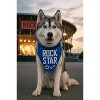 Parisian Pet 'Rock Star' Bandana for Dogs & Cats - Fashionable, Comfortable Blue Pet Bandana for Trendy Pets - 3 of 4
