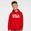 The Juniper Shop USA Distressed Stars Youth Hoodie - 2 of 4